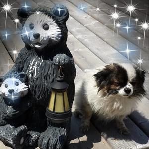 Meet your Posher, Pauline